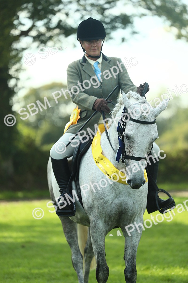 SBM_52332 - Working Hunter Supreme Championship