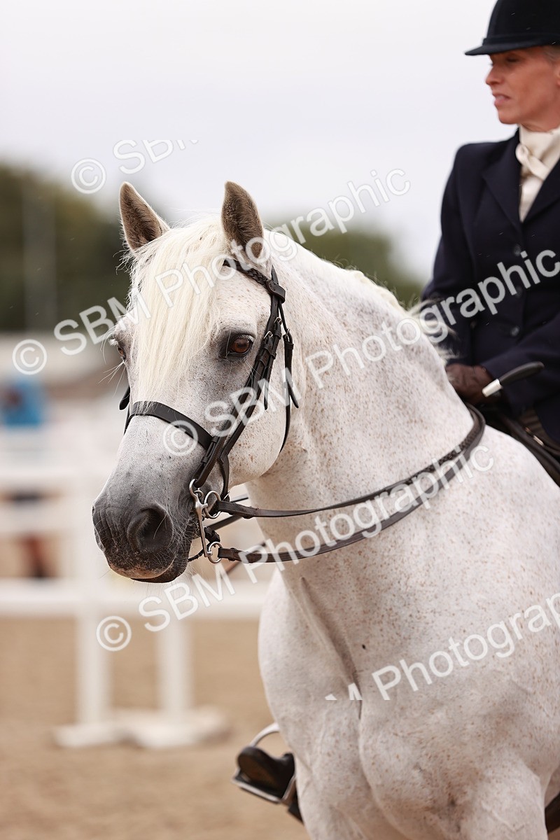 SBM_19028