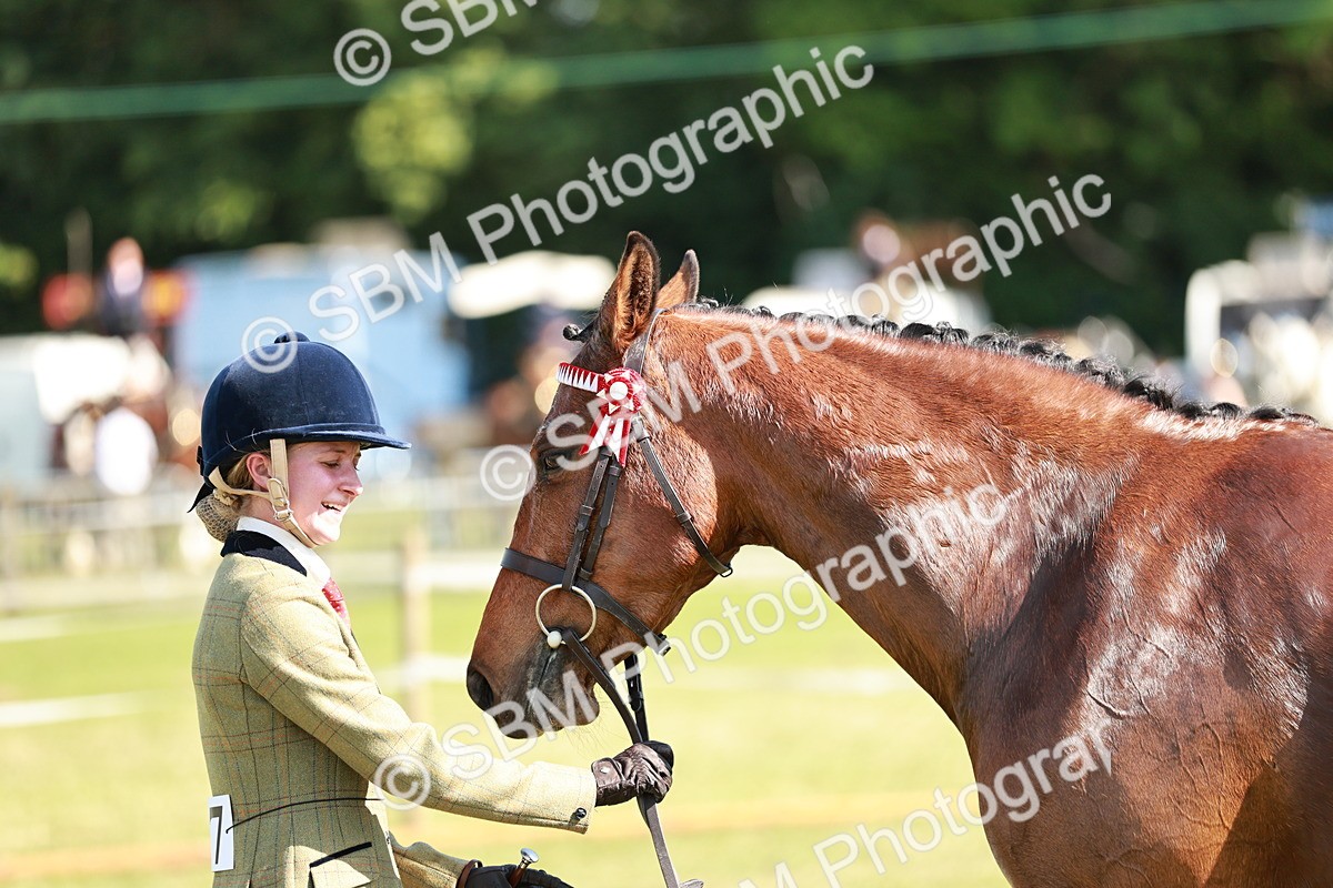 SBM_18924 - Class 114 - RIHS & SEIB Open Working Show Horse