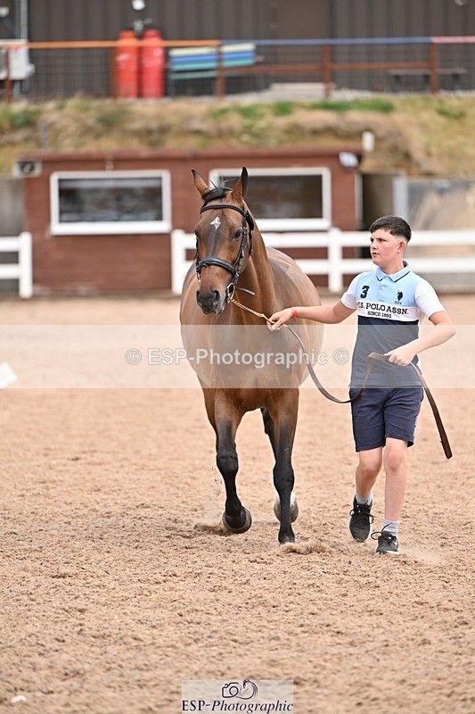 250716-142945-01113 - Trot Up 1.30 to 2.30