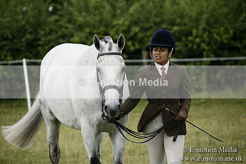 BVR160717-210 - Ring 2 BVRC Show 16/07/17