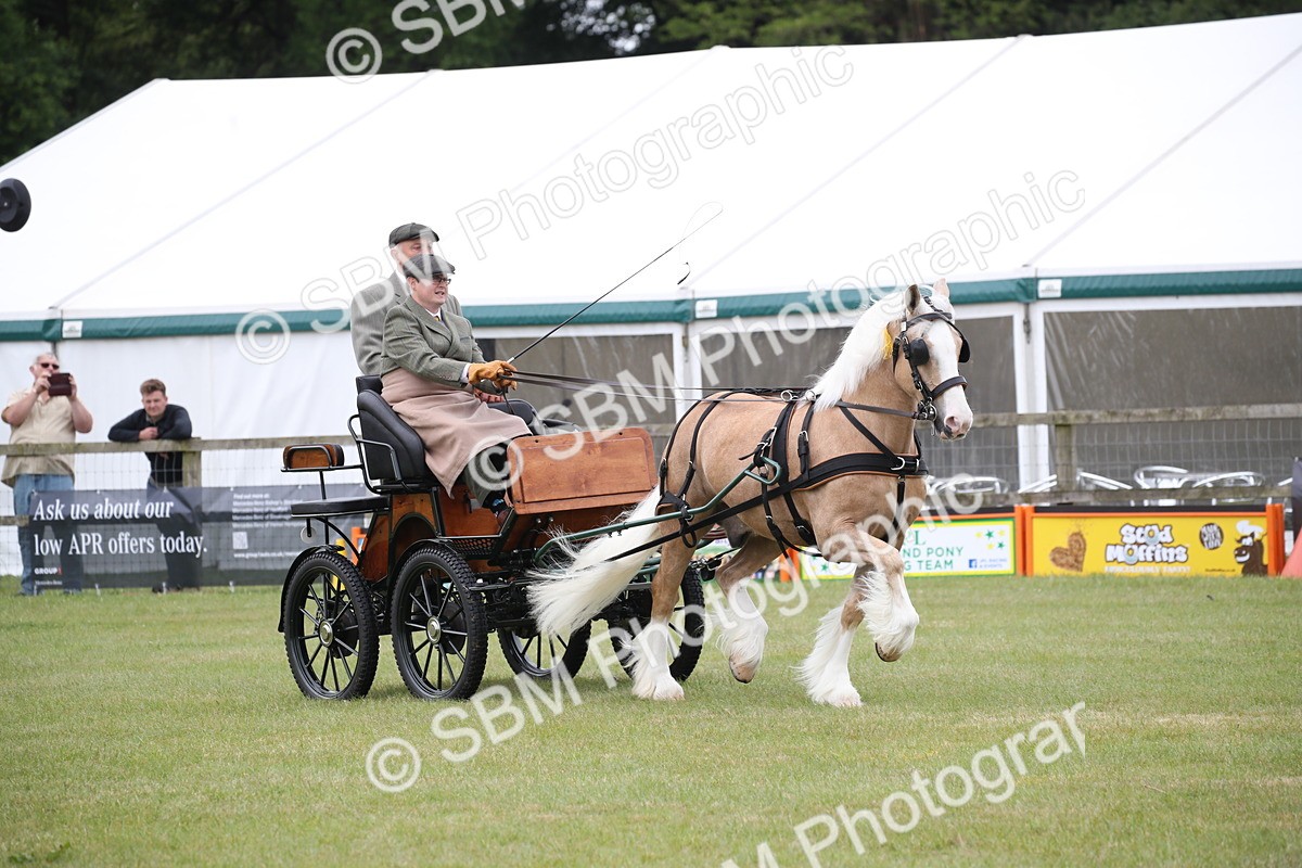 SBM_05669 - Class 12-15 - HOYS Private Driving