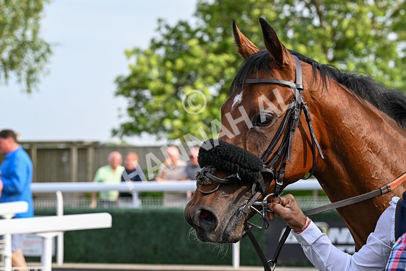 170625-Race 1-Command The Stars-5693 - Race 1