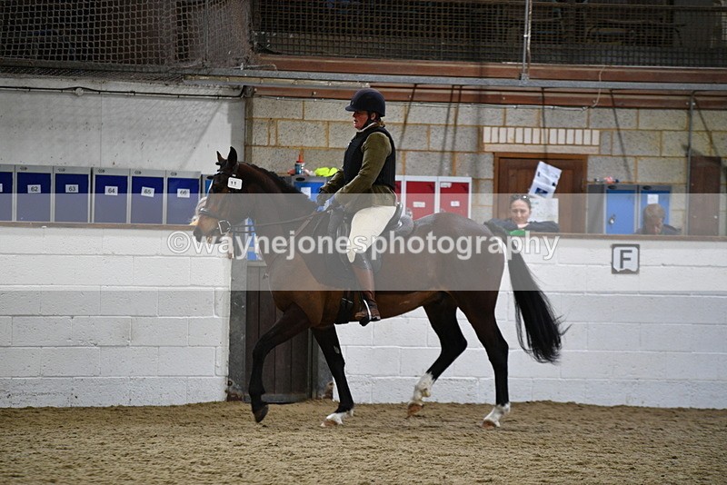 WJ5_7947 - Class 13 Ridden Part Breed