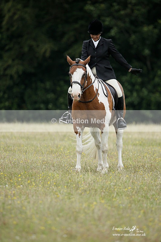 BVRC 030721 95 - Bourne Valley Riding Club Dressage 03/07/21