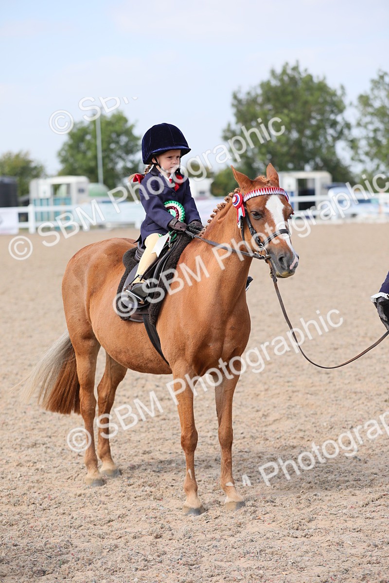 SBM_14116 - Class 309 Lead Rein Pony