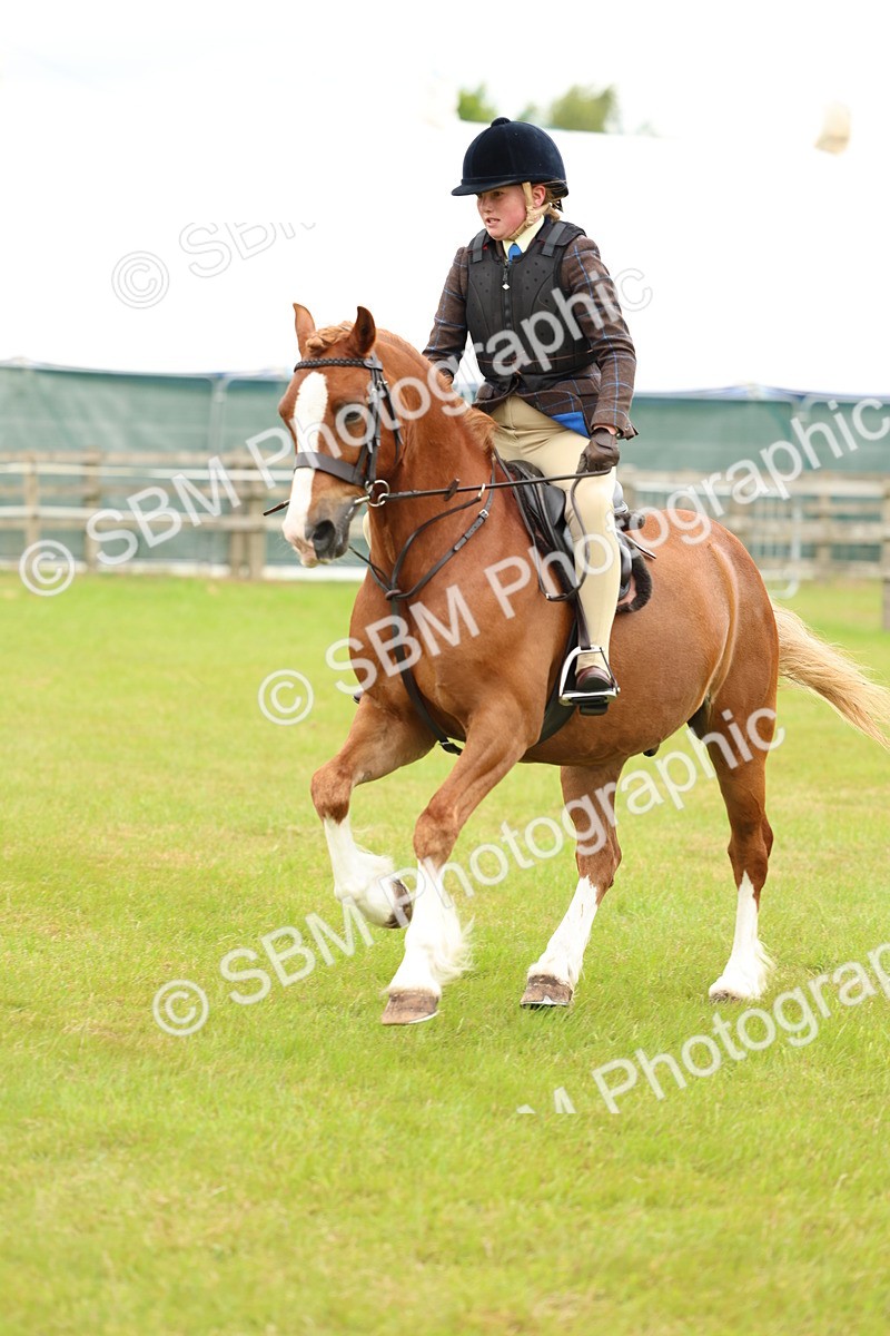 SBM_10349 - Class 44-45 - LIHS BSPS Open Nursery and Cradle Stakes