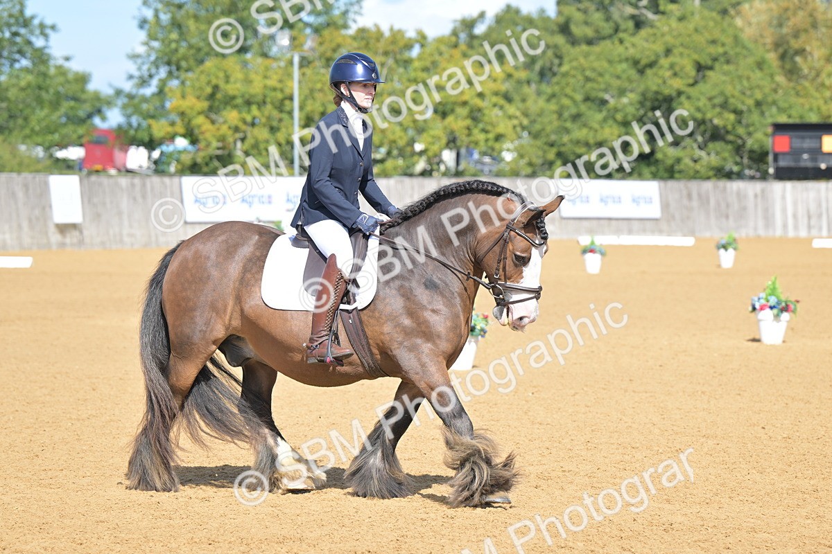 SBM_03925 - D2 - Small Tour Championship Intro 2