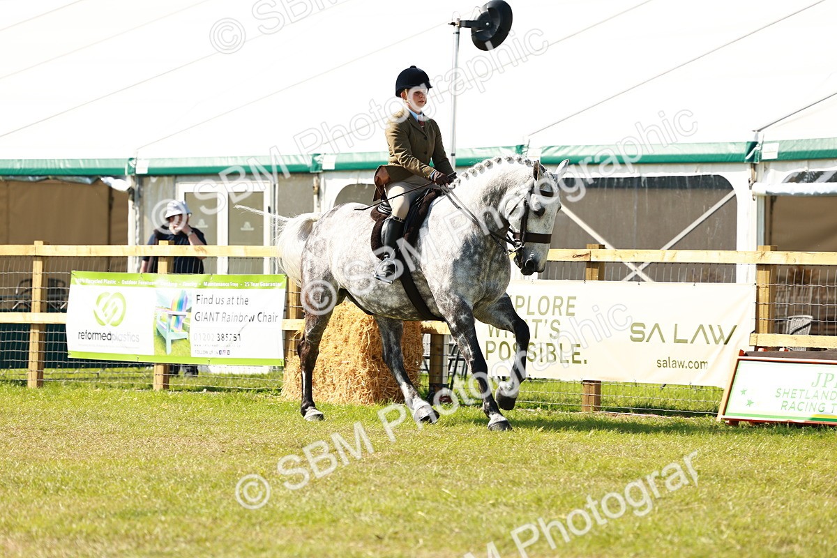 SBM_11946 - Class 66-69 - RIHS Ridden Hunters Inc Small Hunter