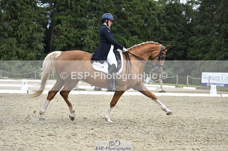 230812-143951-04760 - Cls 7 FEI PSG Bronze