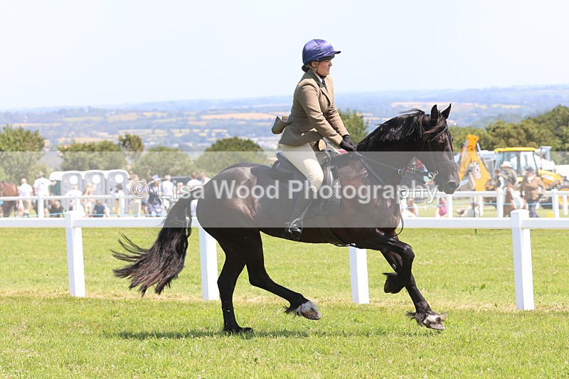 JPP_2813 - Class 21: Working Hunter 60cm