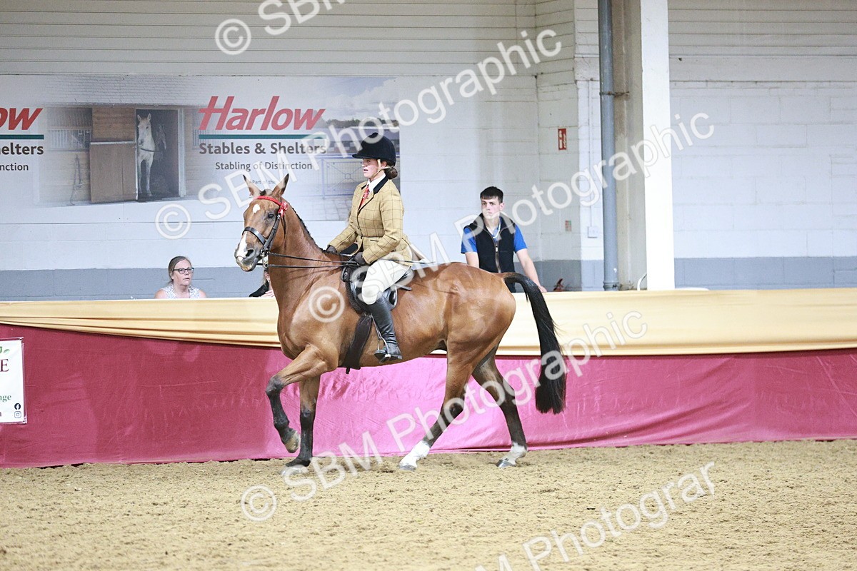 SBM_08187 - Class 11R - Regional Ridden Veteran