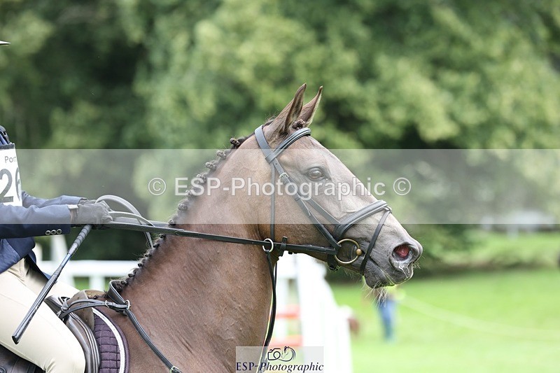 230805-131529-03128 - SJ 13 to End