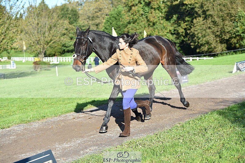 231022-102810-22503 - 472-SIR.LARRY.II-Alice.Wharton-TrotUp+SJ