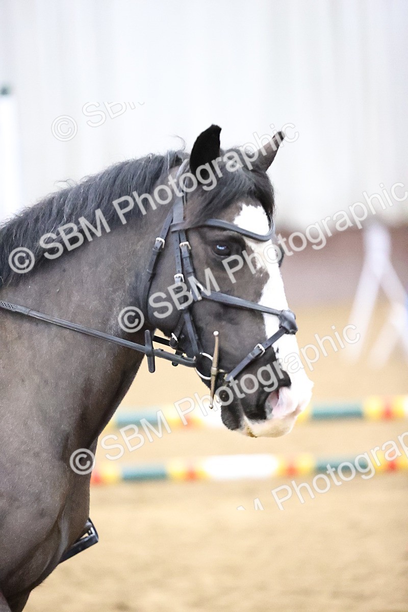 SBM_000282 - Class 2 - 50cm