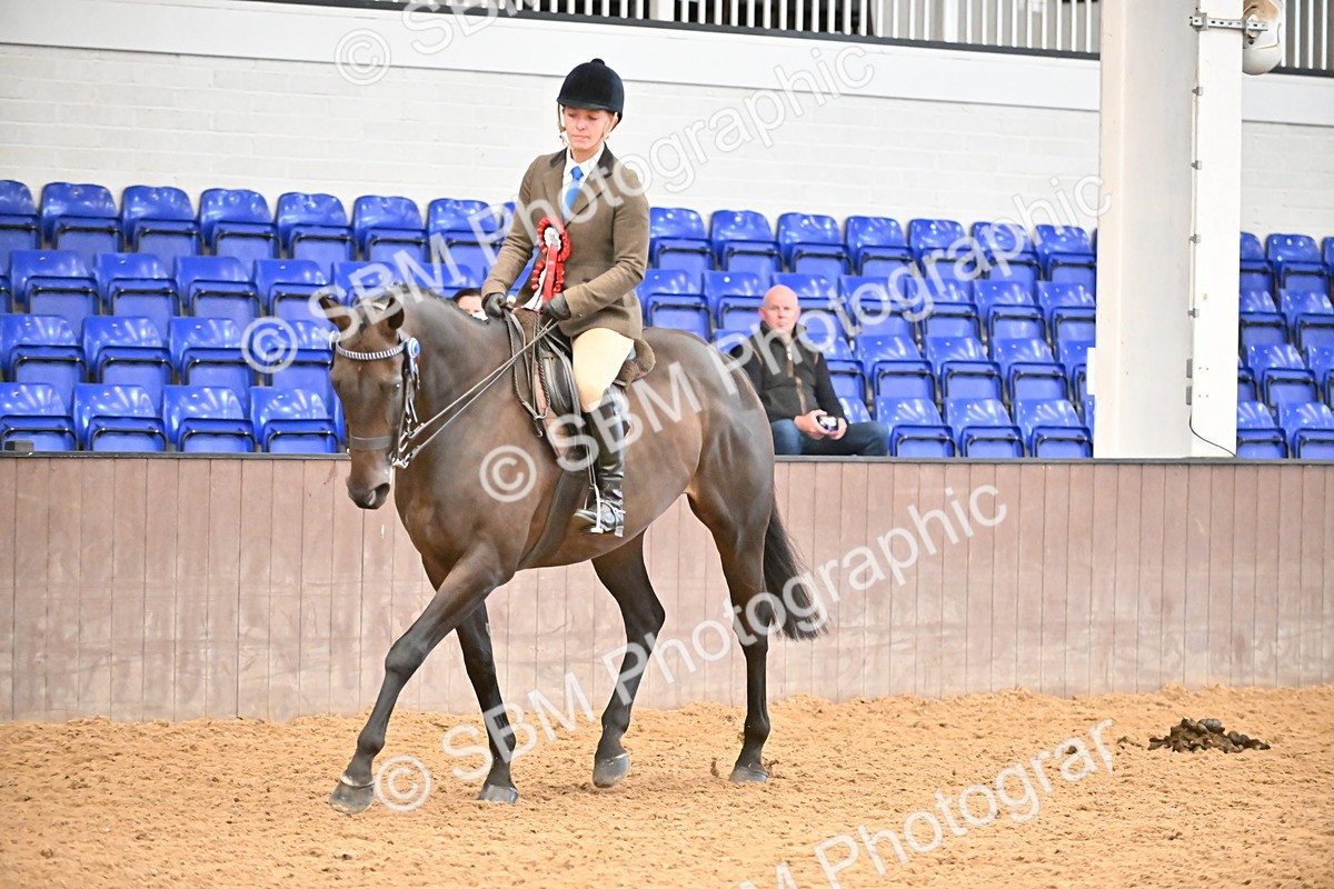 SBM_002709 - Ridden Showing Supreme Championships