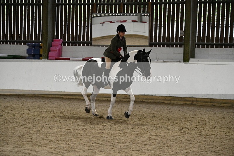 WJ7_3737 - Class 16 Ridden Coloured/ Odd Coloured