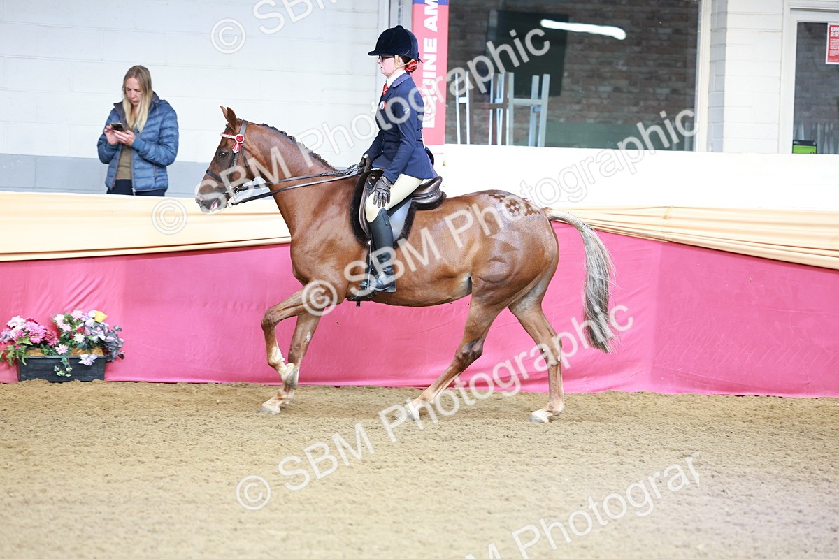 SBM_11938 - Class 102 - Equitation (Best Rider) Adult