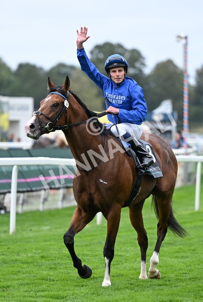 200825-165 Ombudsman - Race 4 3.35pm Juddmonte International Stakes