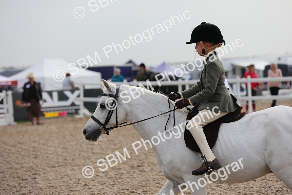 SBM_09661 - Class 301 Ridden M&M -Small Breeds