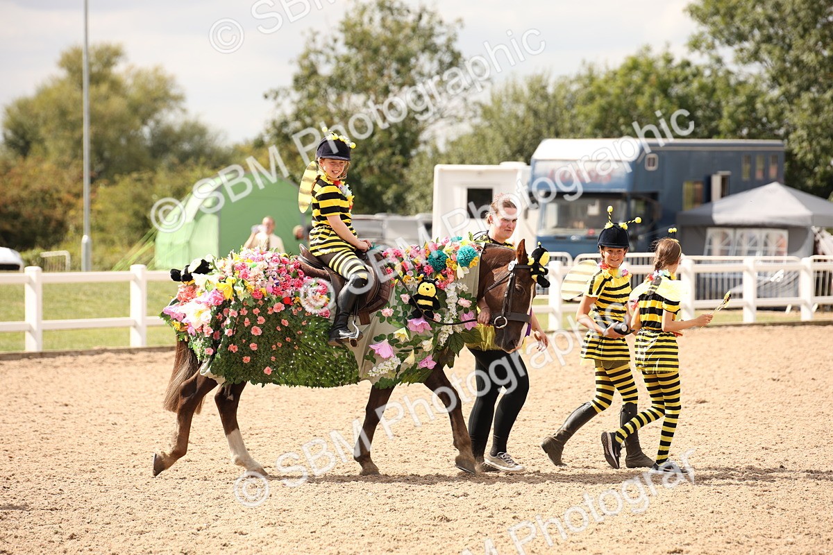 SBM_04715 - Class 21 Fancy Dress (IH or Ridden)