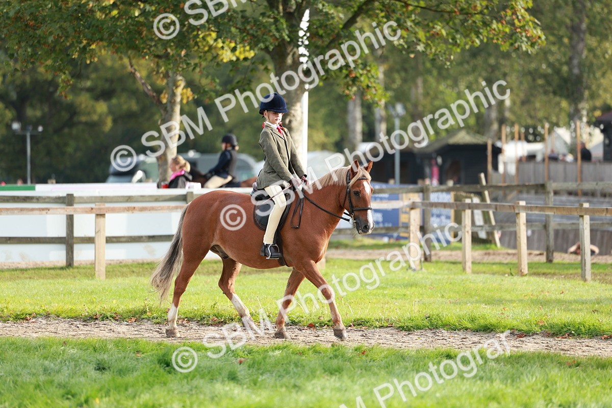 SBM_56358 - S39 - Starters In Hand Showing