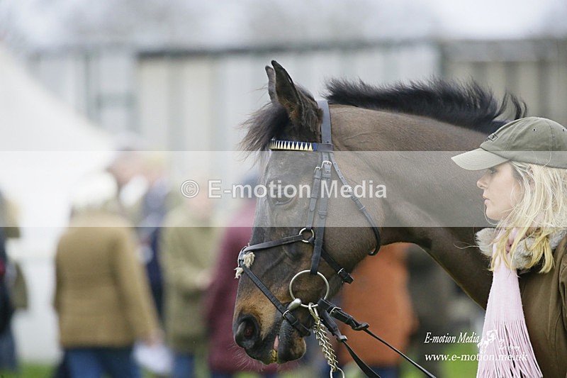 PtP 200222 14 - Countryside Alliance PtP Badbury Rings 20/02/22