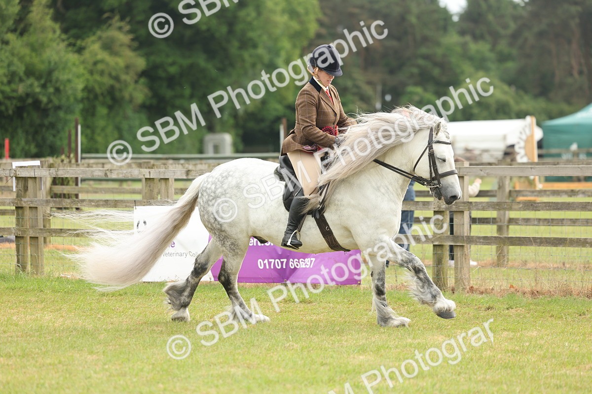SBM_09125 - Class 78-80 - Ridden M&M Non Welsh Ponies