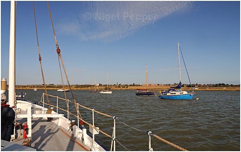 Marina (10) - Titchmarsh Marina