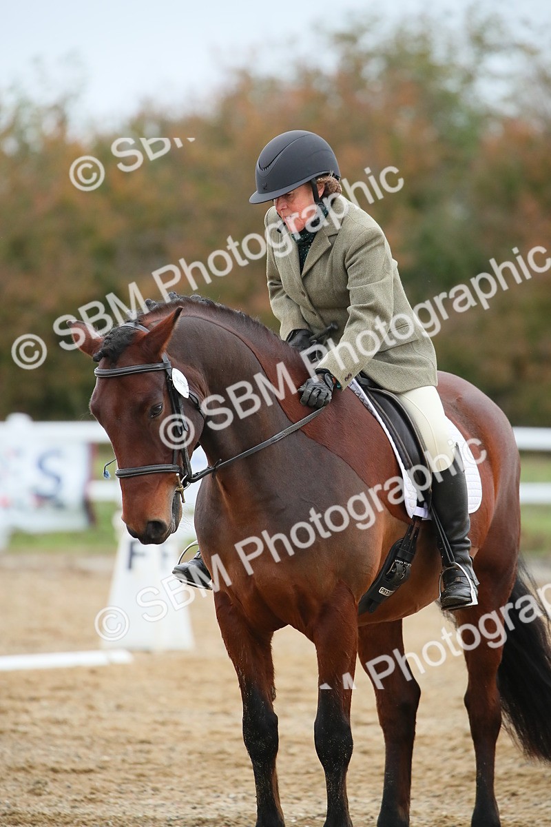SBM_000399 - Intro 2