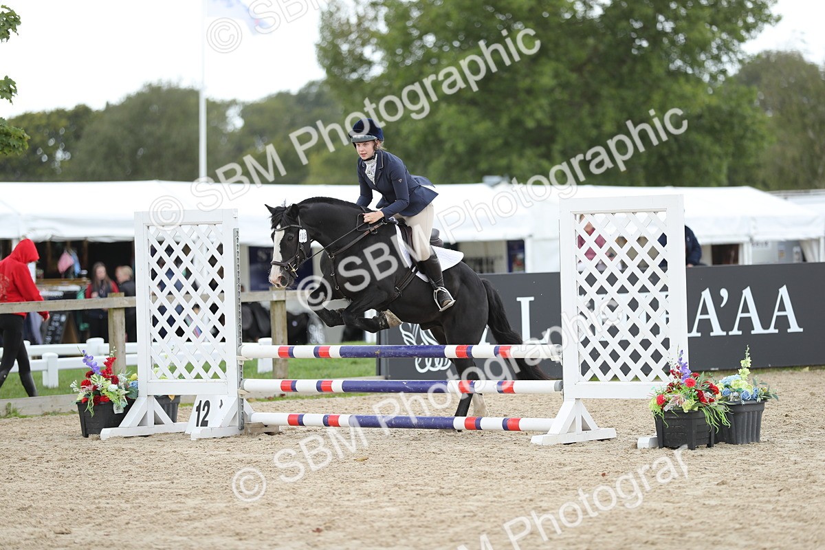 SBM_06502 - J29 - Senior Horse & Pony 65cm Championship