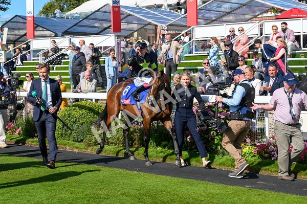 240824-Race 4-Magical Zoe-1116 - Race 4 3.35pm Sky Bet Ebor Handicap