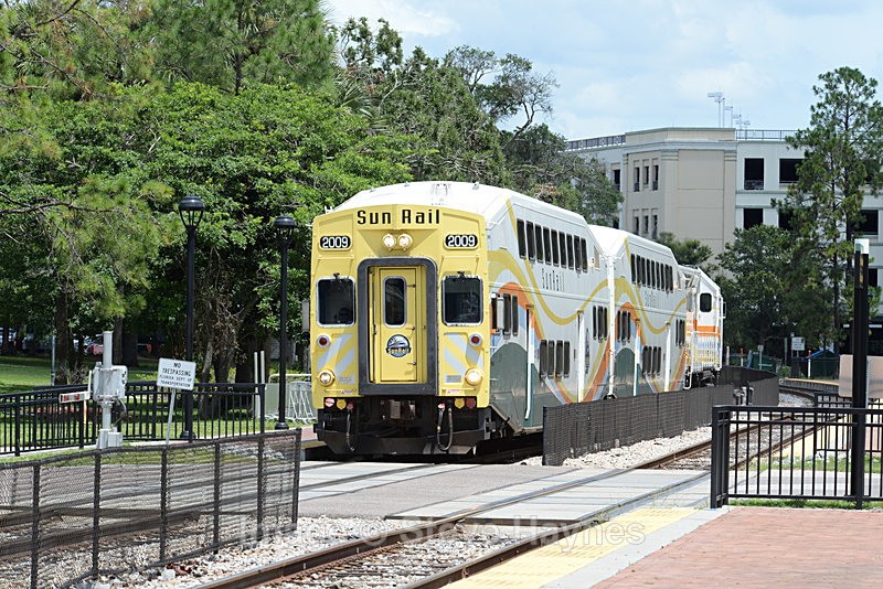 7th Aug 2017 - Winter Park, FL
