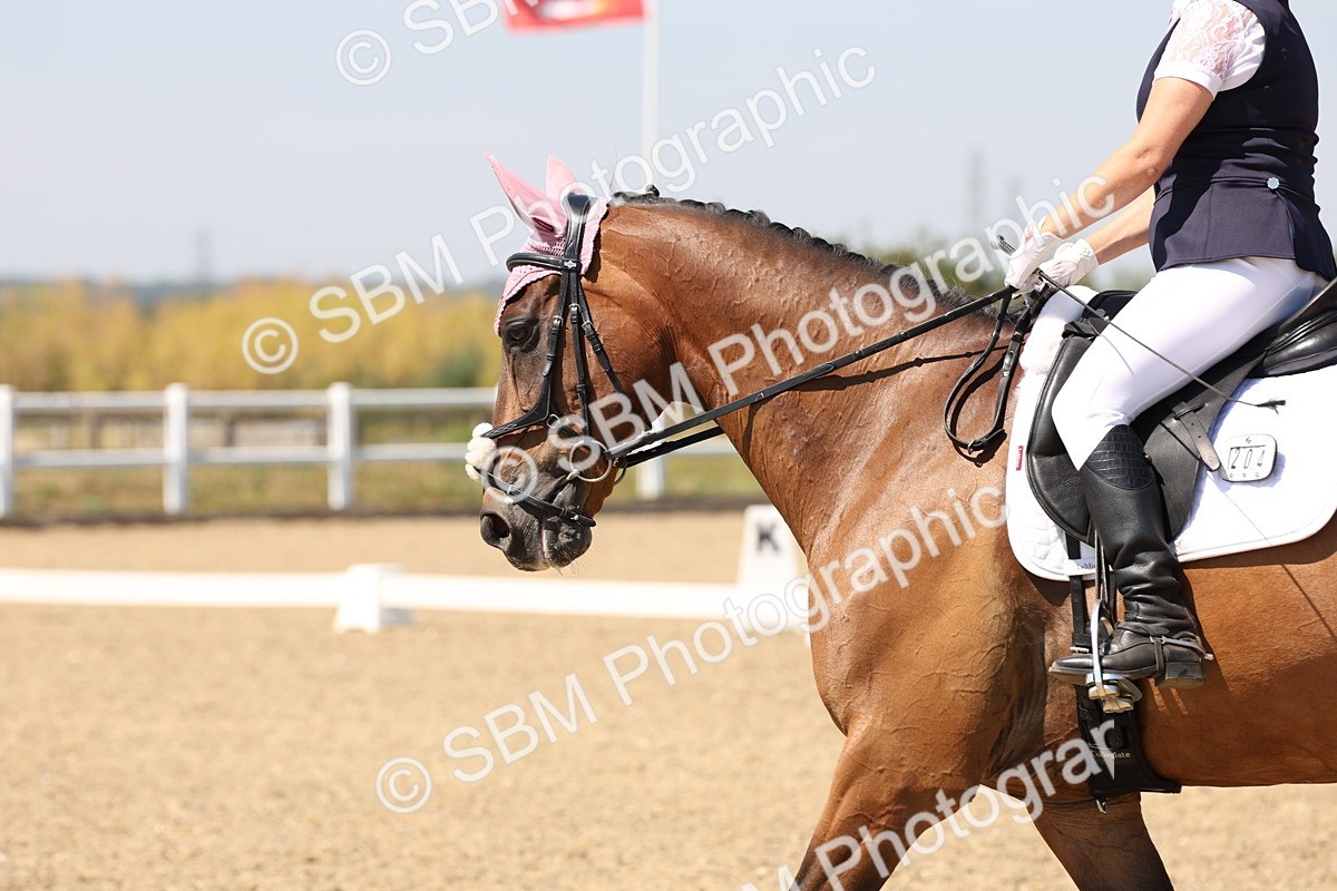SBM_005092 - Prelim 4 - 13.34-15.39