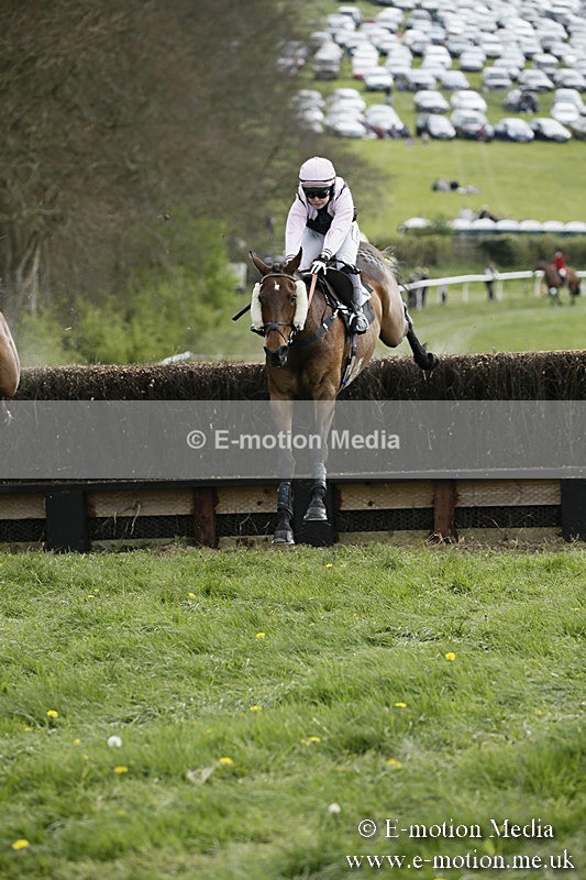 PtP 170417 175 - Old Berks Point-to-Point Lockinge 17/04/17