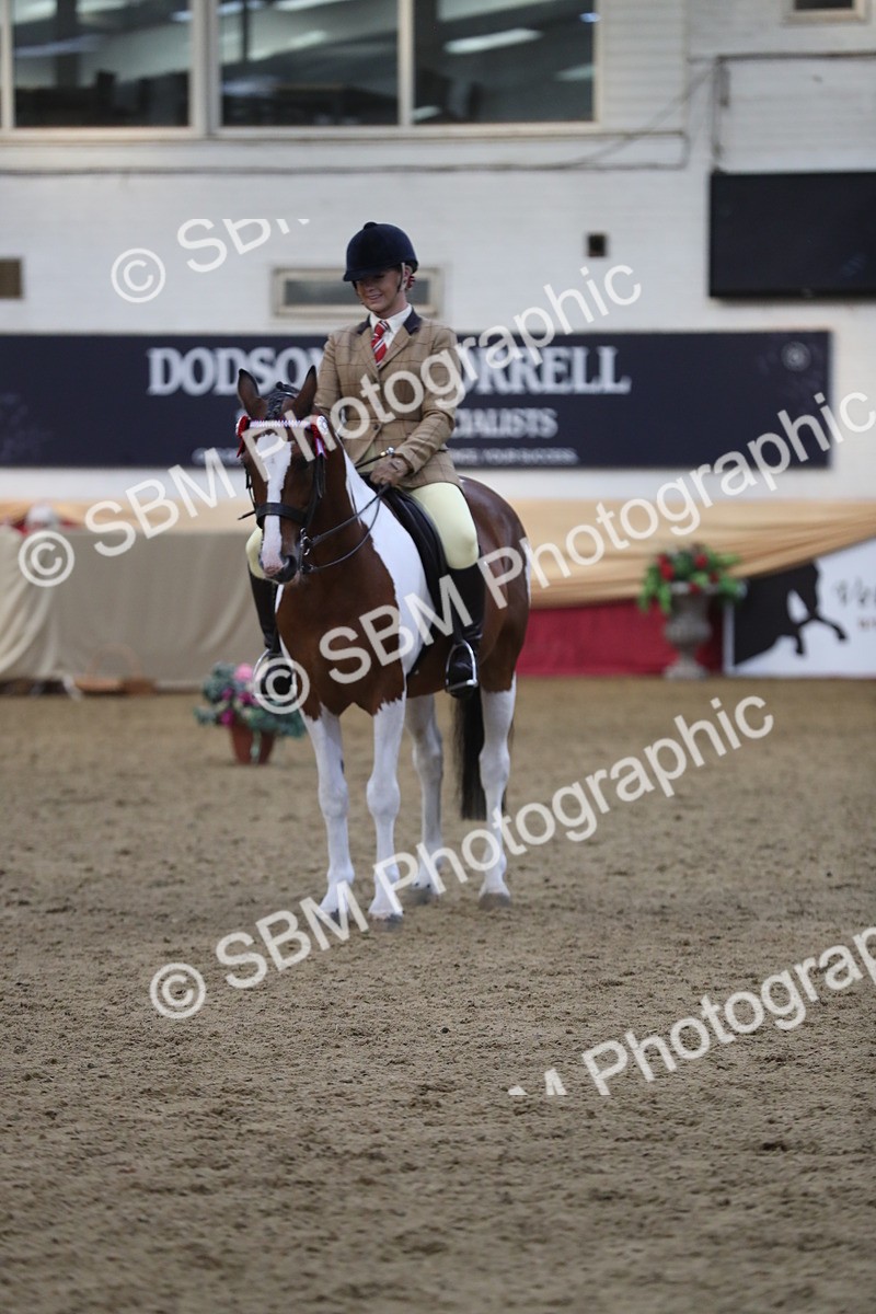 SBM_08439 - Class 11R Regional Ridden Veteran