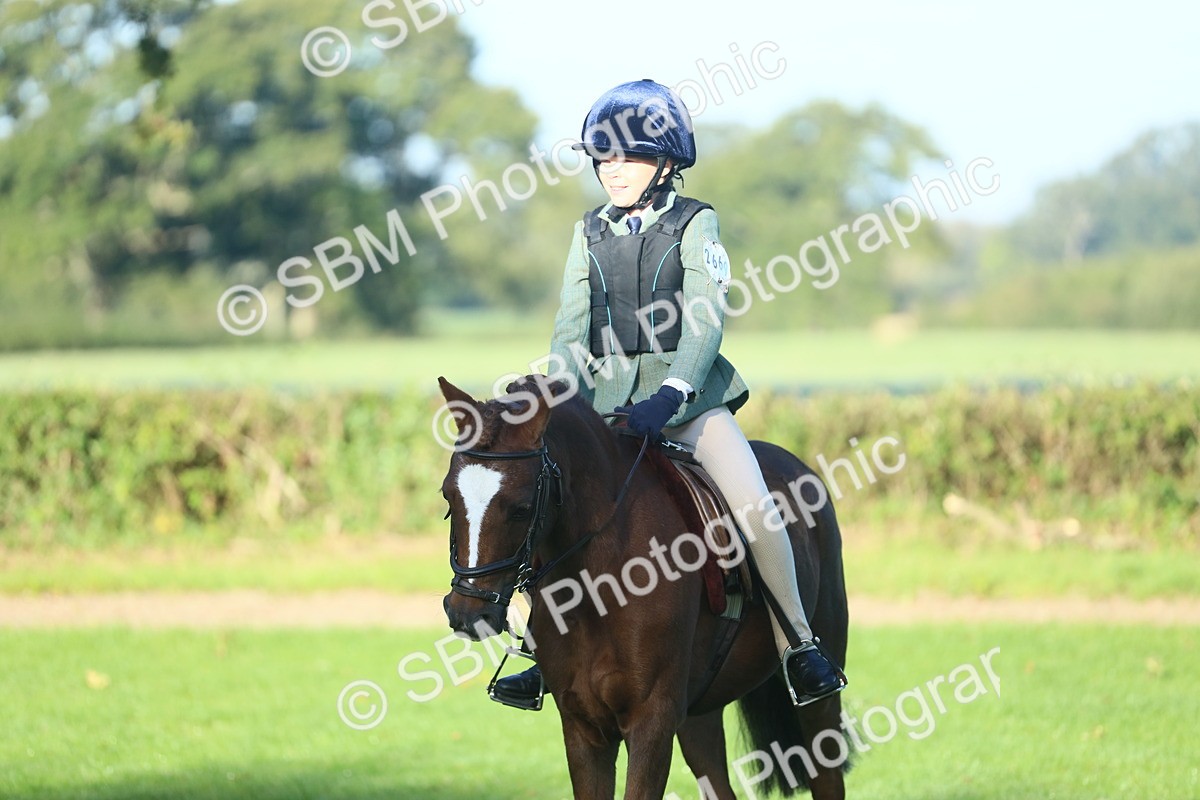 SBM_33406 - S28 - Nursery Stakes Working Hunter Pony