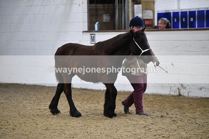 WJ5_3359 - Class 1 Youngstock