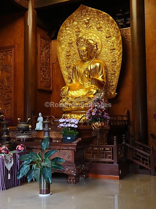 CHINA__0966 - China 2019