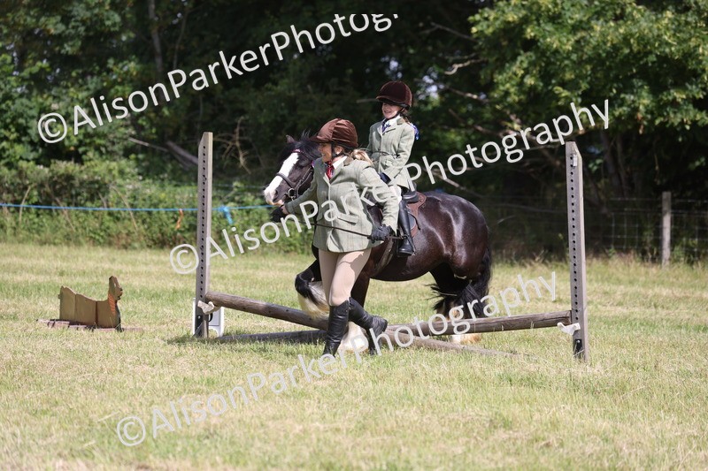 20260614-0622 - Class 20 - Beginners Working Hunter Pony
