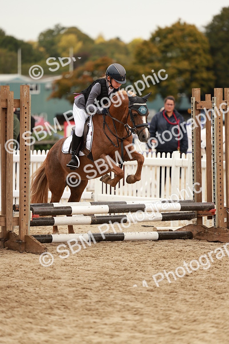 SBM_57971 - J11 - Junior Pony 50cm Championship