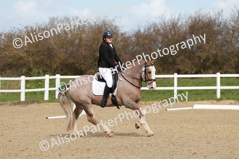 20260314-2772 - DR3 - Prelim 1