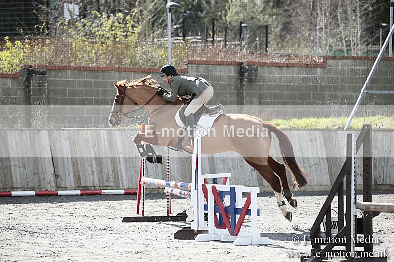 BVRC SJ 170319 387 - Bourne Valley Riding Club Showjumping 17/03/19