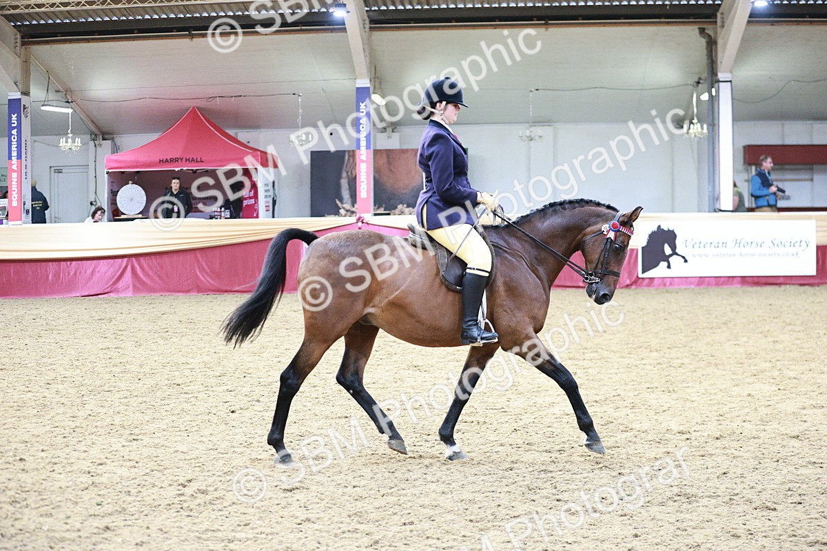 SBM_08267 - Class 11R - Regional Ridden Veteran