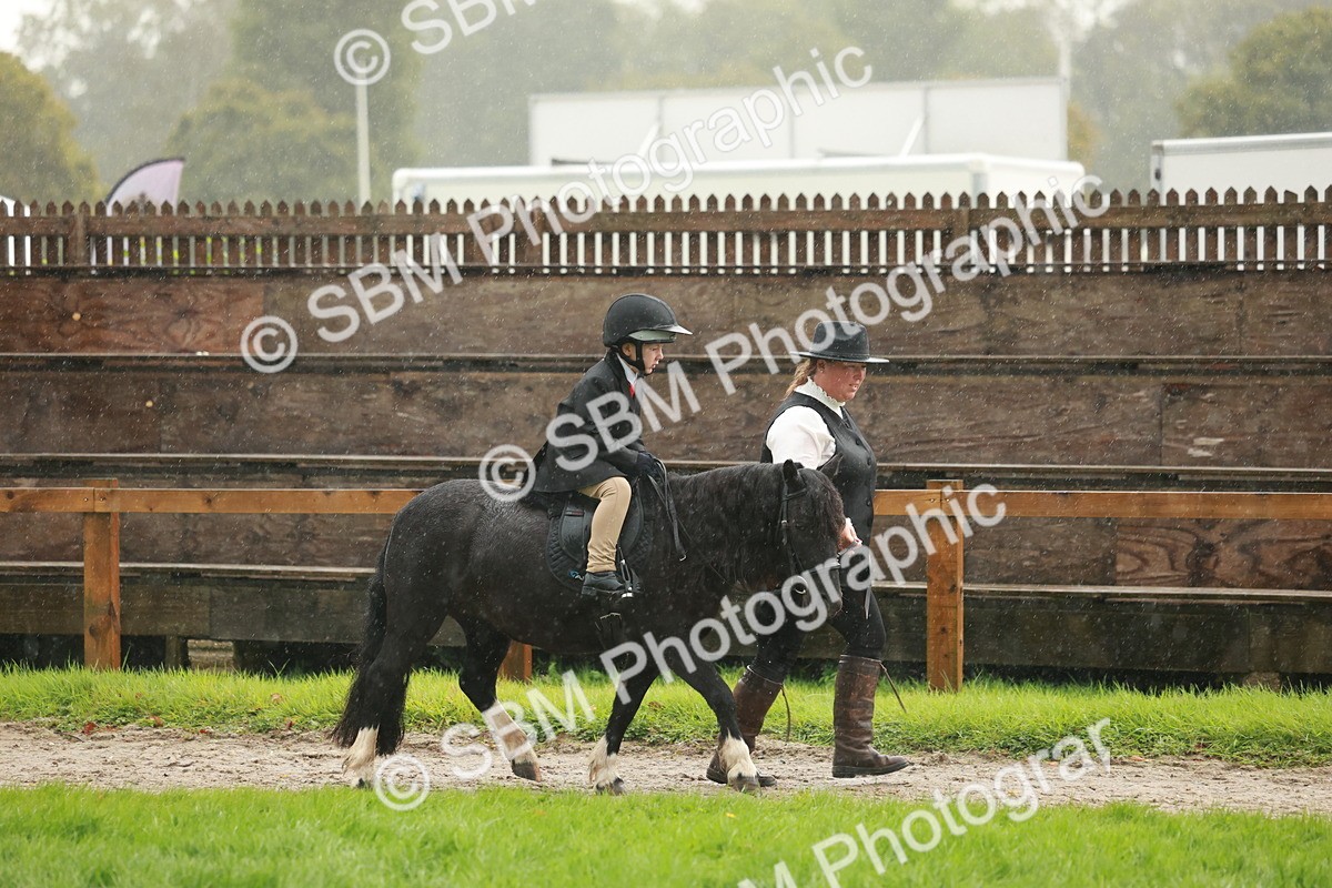 SBM_33667 - S9 - Lead Rein Equitation
