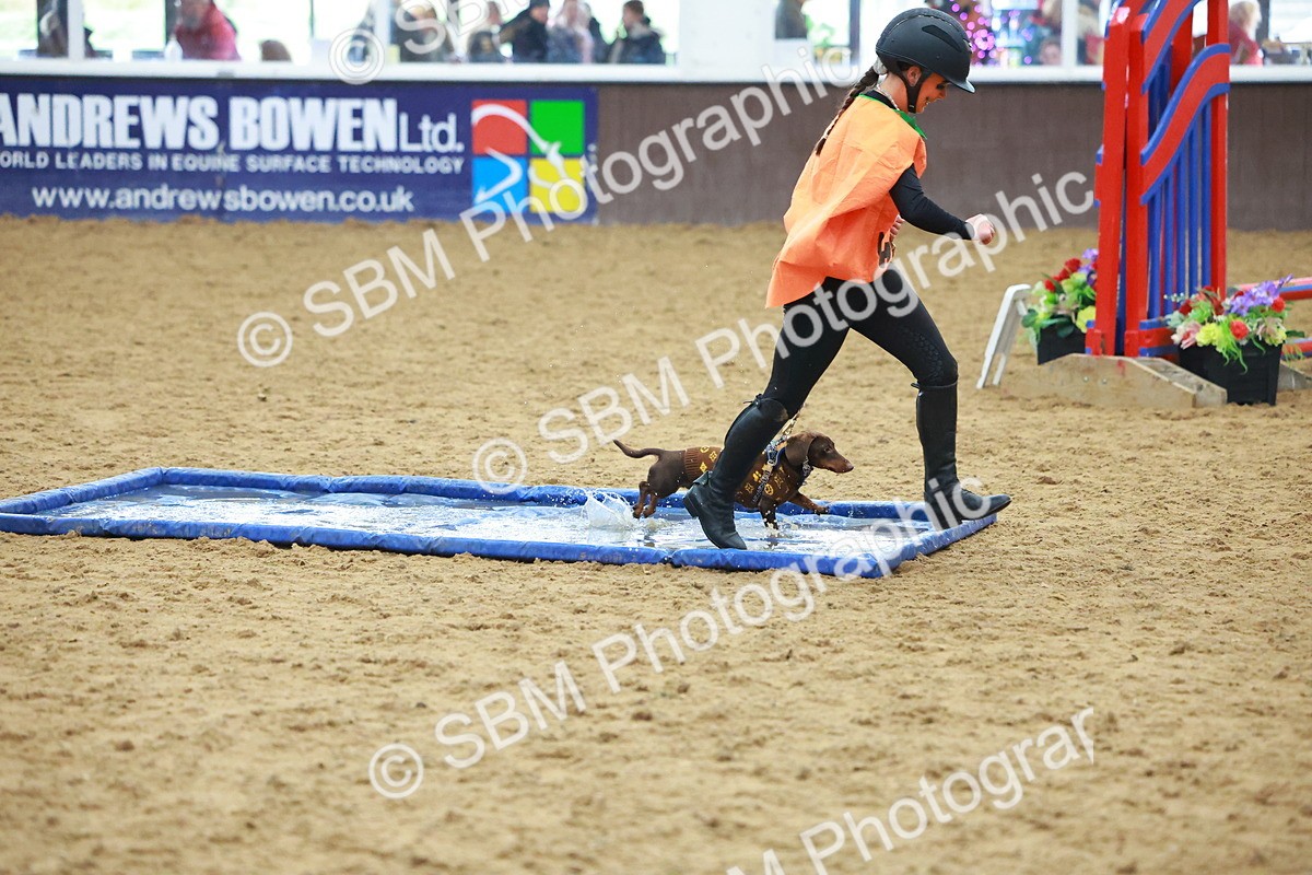 SBM_002217 - Class 3 - Horse & Hound (60cm)