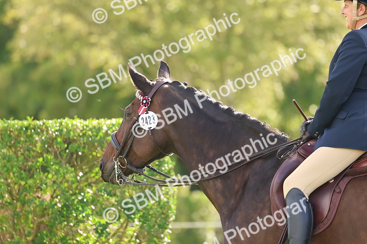 SBM_47837 - S28 - Veteran Ridden