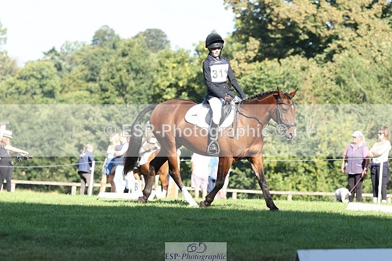 250823A-093033-25987 - Arena D