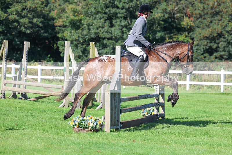 3E7A7798 - Class 2: Open Working Hunter pony