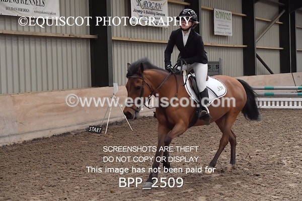 BPP_2509 - CLASS 16 Pony BritiNovice / 0.80m Open